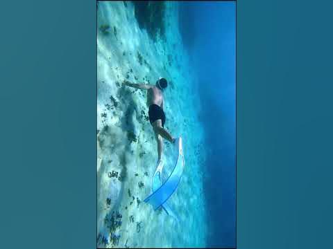 Freediving - Phu Quy island - YouTube