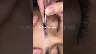 Eyebrow Tutorial using Eyebrow Extensions 🤎