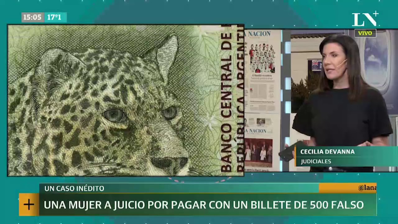 Un caso inédito: una mujer a juicio por pagar con un billete falso noticias argentina de hoy