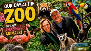 California Central Coast Vlog 🌿 Zoo Day, Cute Animals, Coffee Shop & Sunset Beach