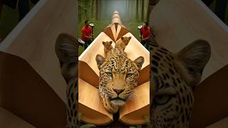 Rescue Lion from Giant Log animals funny shorts