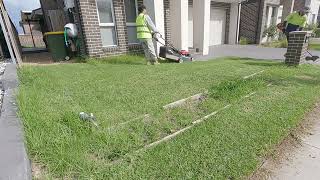 Someone use this satisfying lawn mowing video as split screen TikTok