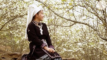 Dân tộc Dao Tiền | Âm nhạc và Múa dân gian dân tộc Dao Tiền | Chiêm Hóa, Tuyên Quang | Múa Xài Xéo