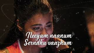 Gorillawhatsapp Status