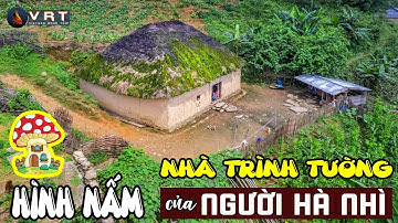 Đi tìm ngôi nhà trình tường hình nấm của người Hà Nhì - Vietnam Road Trip