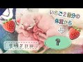 【生後8日目】いちご2個分の重さだった子猫、こんなに大きくなりました【未熟児子猫成長日記】【Kittens Grow Up Vlog】