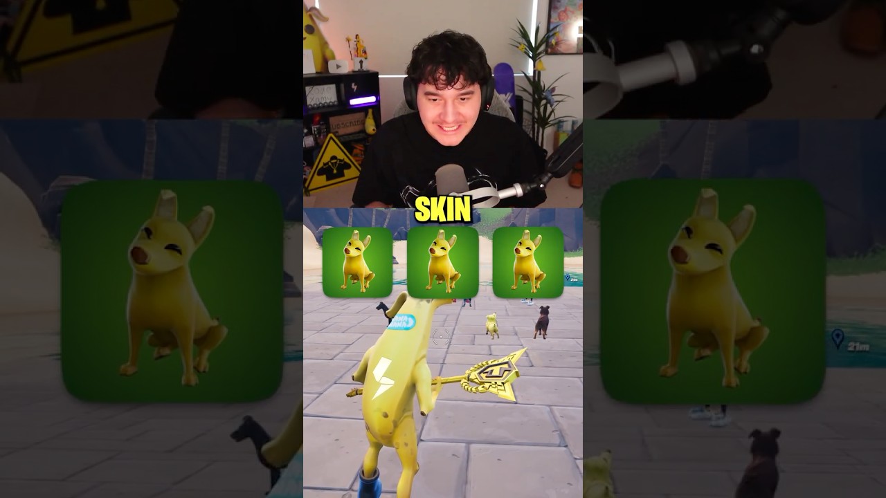 MATCH THE SKIN * PET EDITION*