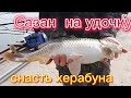 Рыбалка на поплавок. Рыбалка в Корее. 낚시 임베트로