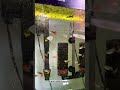 GUPPY FEEDING FRENZY 🔥🐠 #guppy #aquarium