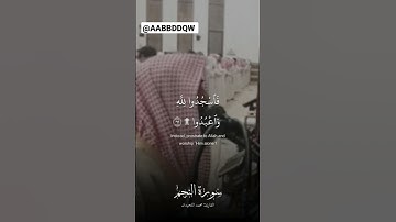 الشيخ:محمد اللحيدان                 سورة النجم