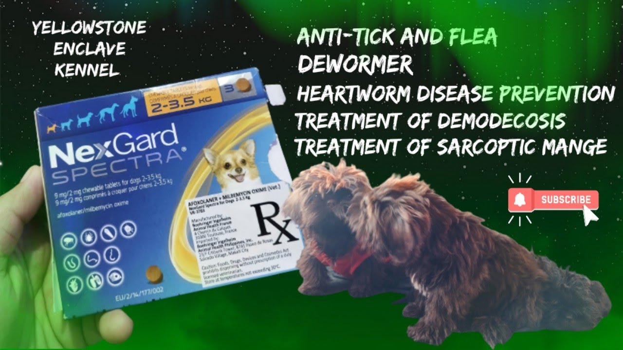 nexgard-spectra-for-dogs-anti-tick-and-flea-dewormer-broad-spectrum