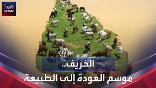 موريتانيا..موسم الخريف ليس موسما عاديا..سكان العاصمة يعدون إلى الحياة في الطبيعة.#الحدث_المغاربي