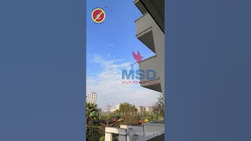 Expert Bird Net Installation in Gurgaon | Protect Your Space from Unwanted Birds
