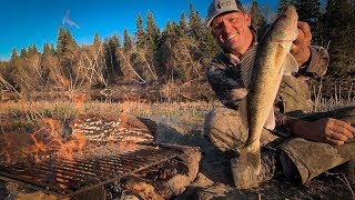 WALLEYE over Camp Fire on REMOTE ISLAND {Catch Clean Cook}