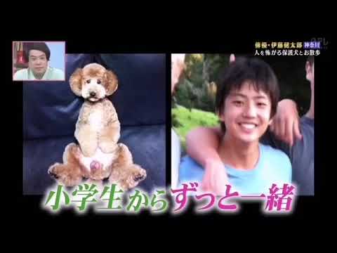 So cute 🐶💕💕💕