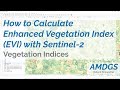 How to Calculate the Enhanced Vegetation Index (EVI) with Sentinel-2 Satellite Imagery