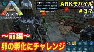 Arkモバイル スマホ版ark ３７ Pveサーバー 卵の孵化にチャレンジ前編 失敗は成功の架け橋だ Ark Survival Evolvedアークサバイバルエボルブル Youtube