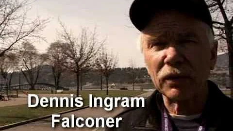 Dennis Ingram Falconer