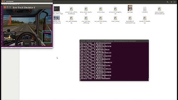 Object Detection using SSD