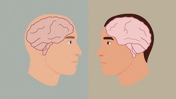 Monash Brain Research Animation