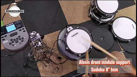 Alesis drum module support Sudoku 8" electronic tom