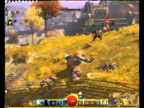 norn bear form elite wmv youtube norn bear form