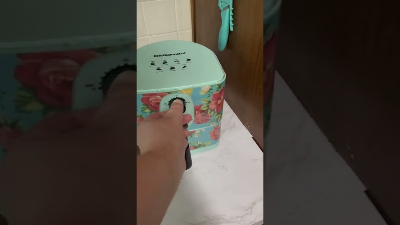 First Time Cooking with my Pioneer Woman Air Fryer YouTube