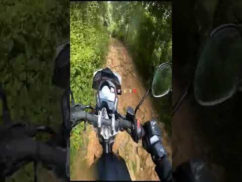 Yamaha FZs vs