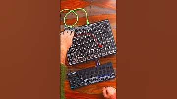 Using an external sequencer w/ the Pulsar 23 #pulsar23 #somalaboratory #oxione #dawless #moogaudio