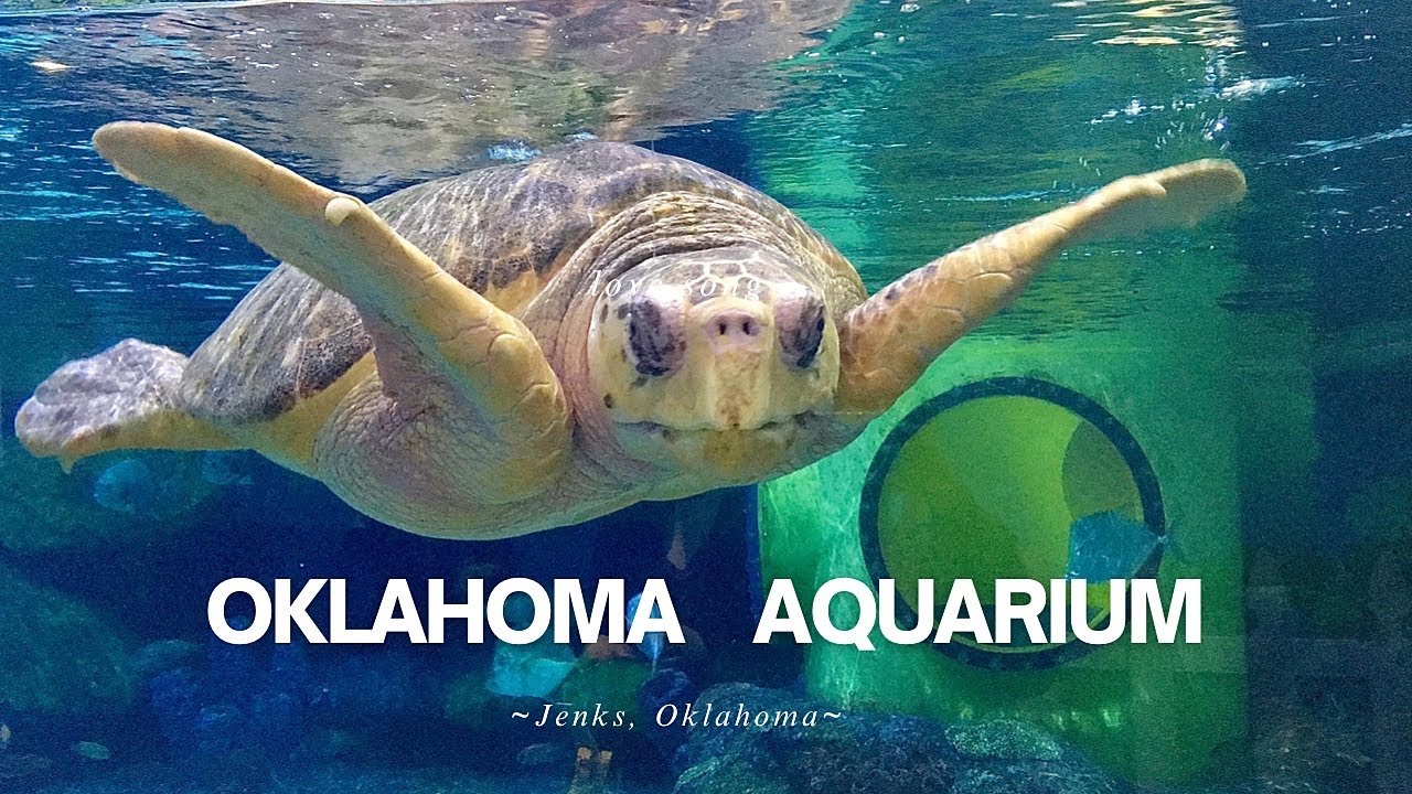 Oklahoma Aquarium!