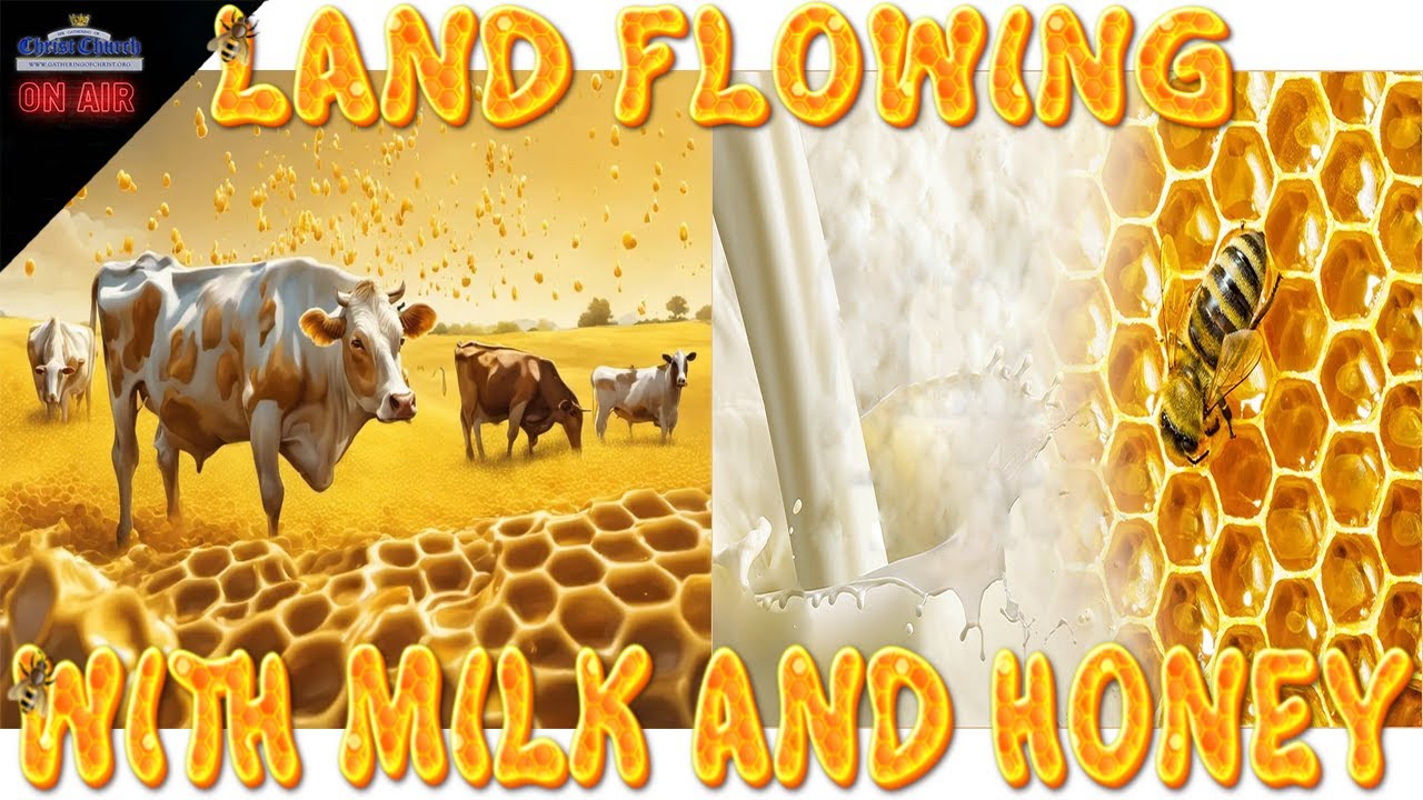 GOCC FIT - Land Flowing With Milk and Honey - YouTube