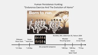 The Evolution of Human Physical Activity  - A Human Genetic Mechanism for Endurance Running