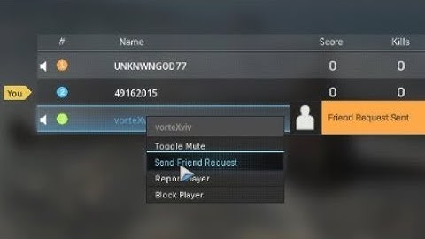 How to send friend request to your teammates in Call of Duty: Warzone