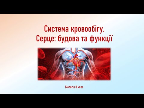 Біологія людини. Система кровообігу. Серце: будова та функції