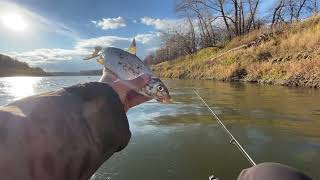 картинка: Рыбалка на р.Урал! Осень прекрасна! 