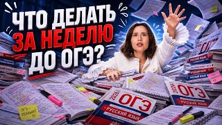 НЕДЕЛЯ до ОГЭ по русскому — что делать? | Настя Гласная | Умскул