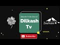 Welcome to our channel dilkash tv