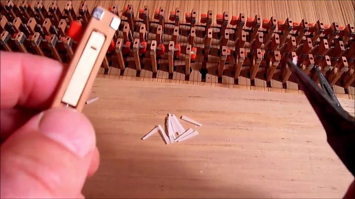 Harpsichord Plectrum Replacement 2020