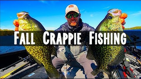 How to Find and Catch Fall Crappies