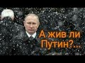 А жив ли Путин?...таро прогноз.