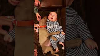 Pointer Pup and baby snuggling