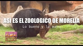 Asi es el ZOOLOGICO DE MORELIA | Parque Zoologico Benito Juarez Morelia Michoacán  2021 | Reccorrido