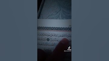 حاله واتس قرآن كريم(سوره يوسف )#قيس_جعفر