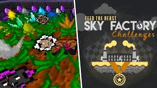 HOW 2 SPEEDRUN #1: FTB Sky Factory Challenges!