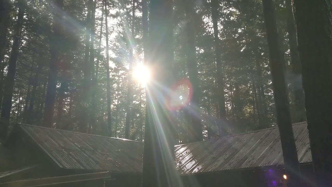 Cliffdell, WA YouTube