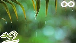 Relaxing Music & Soft Rain Sounds: Relaxing Piano Music, Sleep Music, Peaceful Music ★148🍀