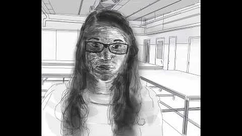 Allison Schmitz Final Art Seminar 2013