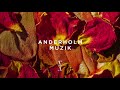 Anderholm - Muzik