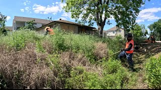 NEIGHBORS couldn’t BELIEVE we CUT this INSANE CITY VIOLATION for FREE by M&D Lawn Care 160,995 views 2 weeks ago 43 minutes