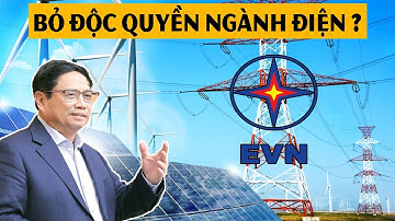Liệu Việt Nam "quá sai" khi độc quyền ngành điện ?